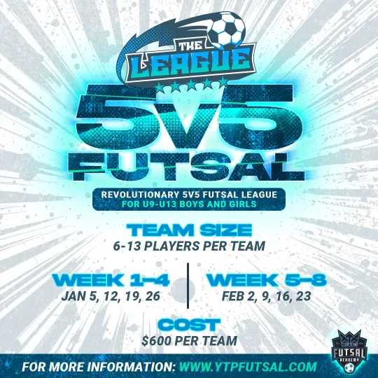 The League 5v5 Futsal image